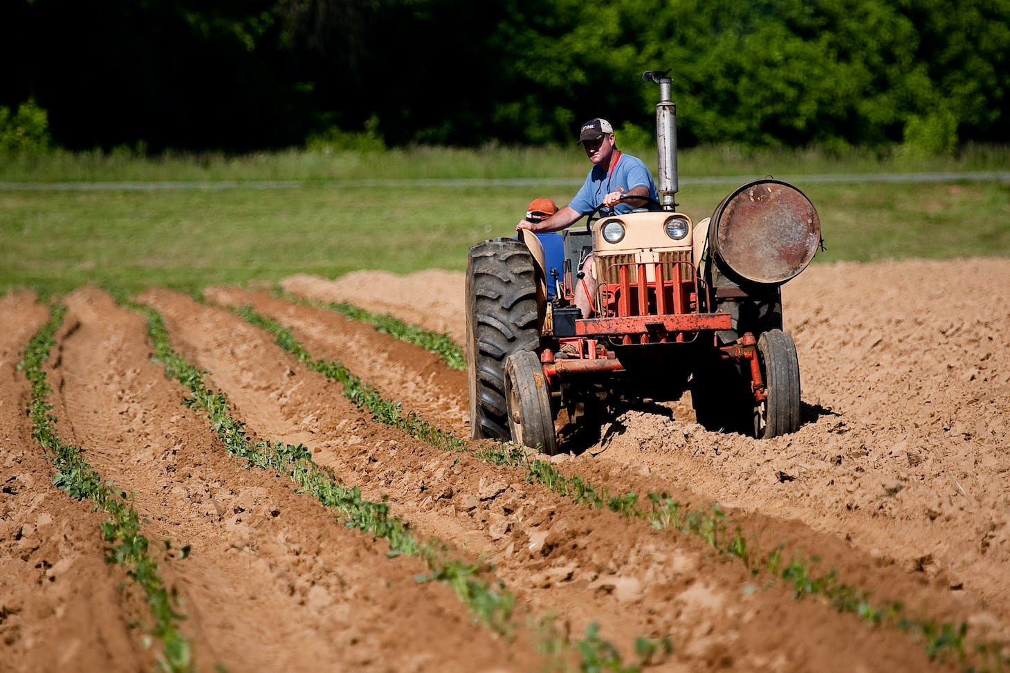 Homme sur un tracteur dans un champ