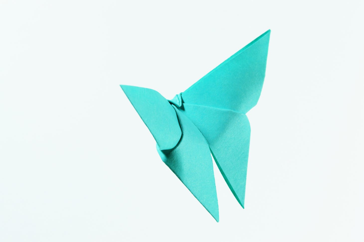 Photo de Miguel Á. Padriñán: https://www.pexels.com/fr-fr/photo/illustration-de-papillon-en-papier-sarcelle-114977/