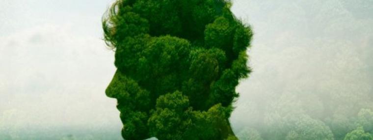 Visage formé d'arbres